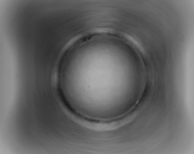 X0000114200016200910091302