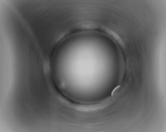 X0000114200017200910091302