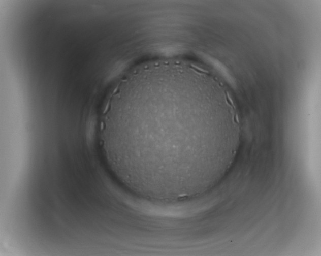 X0000114200018200910091302