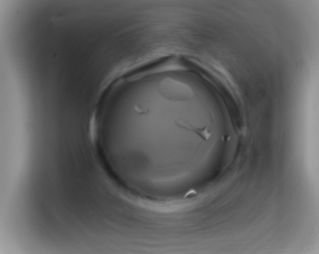 X0000114200019200910091302