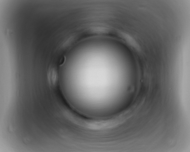 X0000114200021200910091302