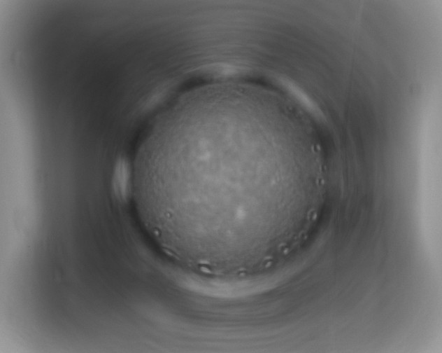 X0000114200022200910091302