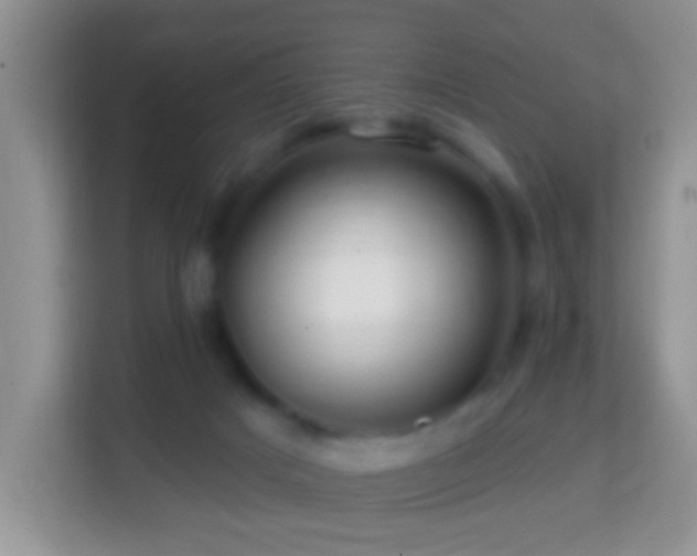 X0000114200025200910091302