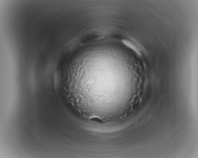 X0000114200026200910091302