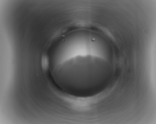 X0000114200027200910091302