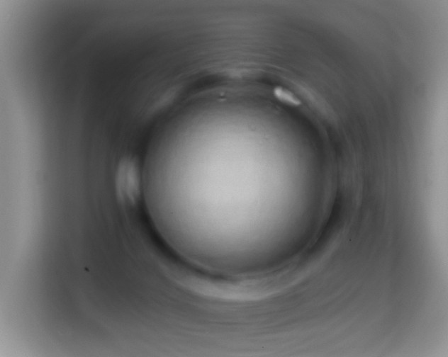 X0000114200028200910091302