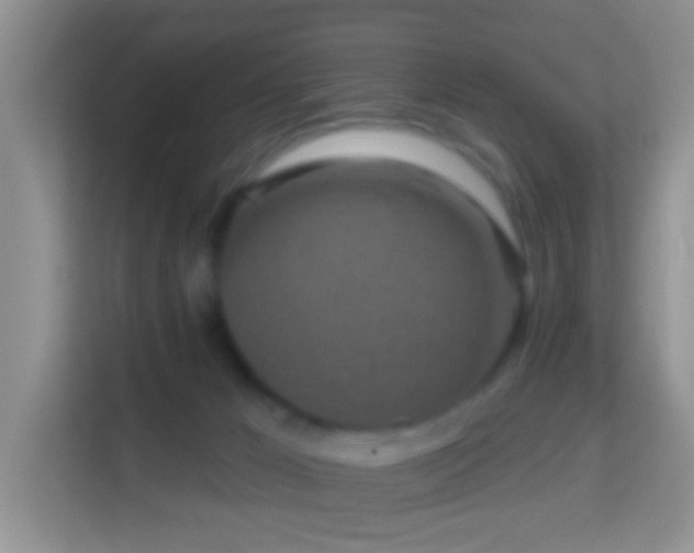 X0000114200029200910091302