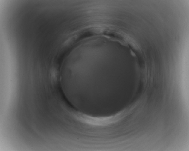 X0000114200035200910091301