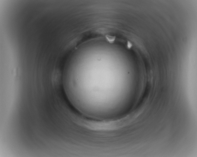 X0000114200036200910091301