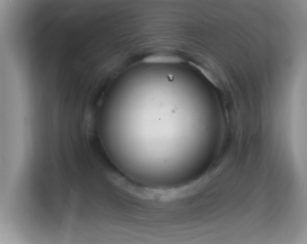 X0000114200037200910091301