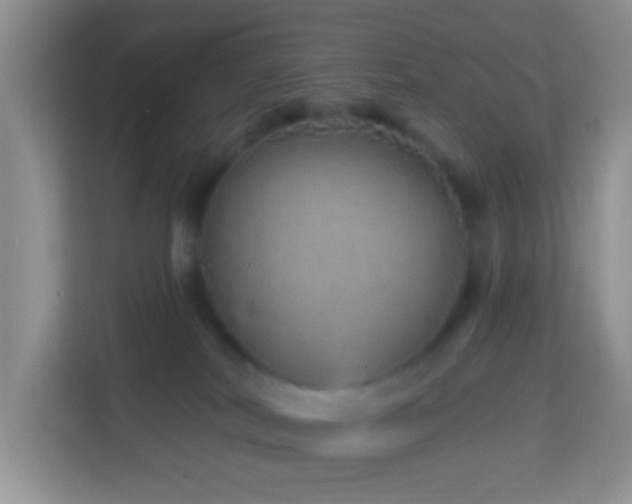 X0000114200038200910091301