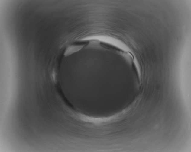 X0000114200039200910091301