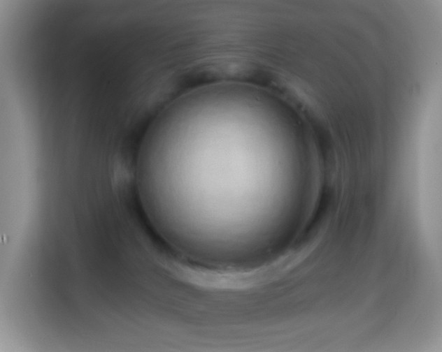 X0000114200040200910091301