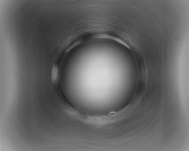 X0000114200041200910091301