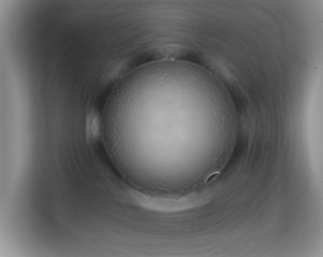 X0000114200042200910091301