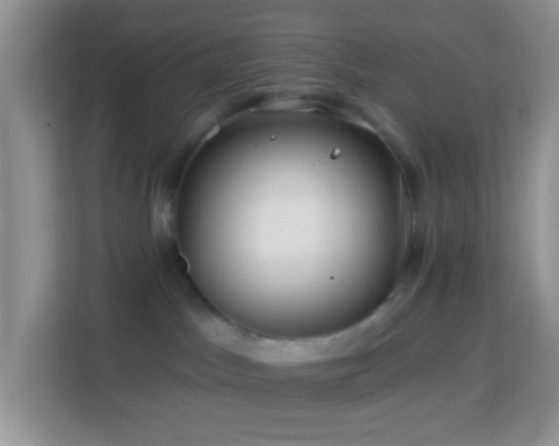 X0000114200045200910091301