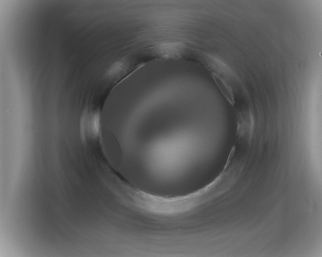 X0000114200047200910091301