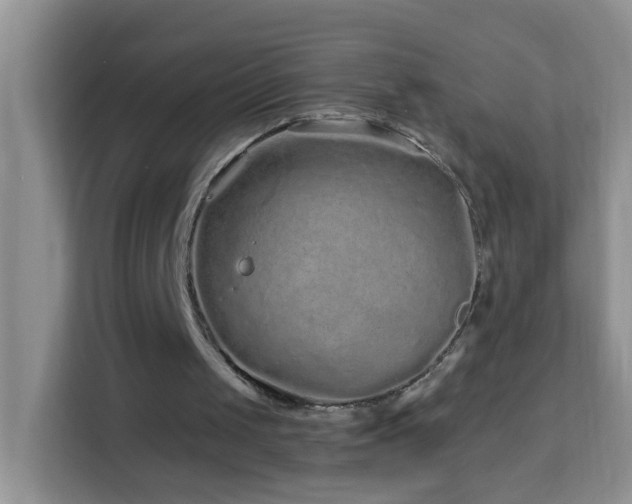 X0000114200049200910091301