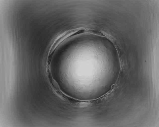 X0000114200050200910091301