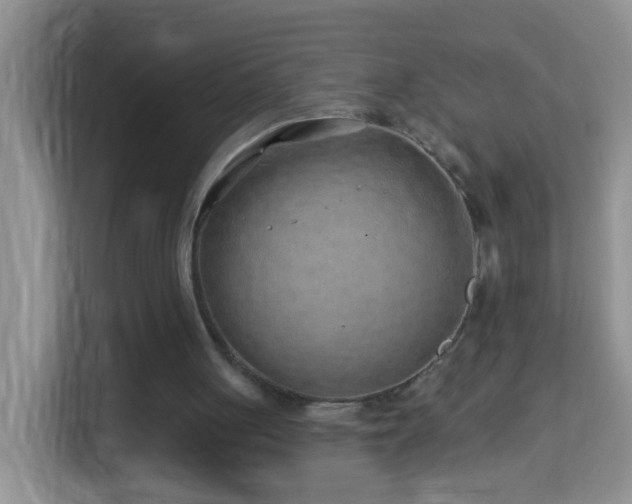 X0000114200051200910091301