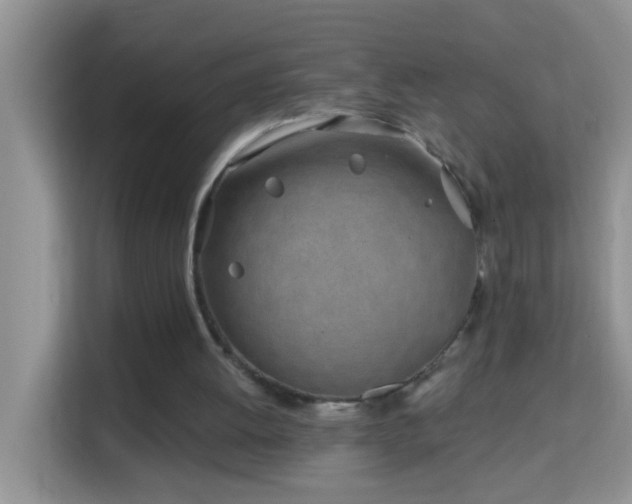 X0000114200052200910091301