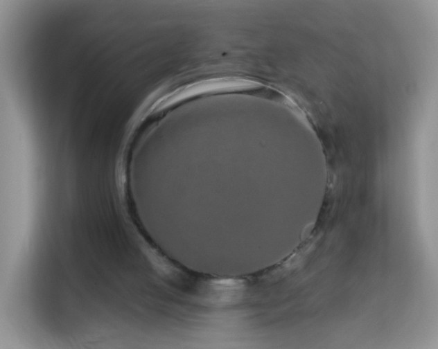 X0000114200053200910091301