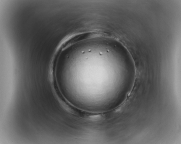 X0000114200054200910091301