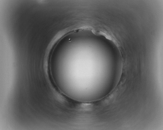 X0000114200055200910091301