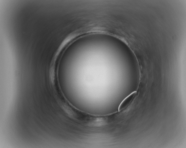 X0000114200056200910091301