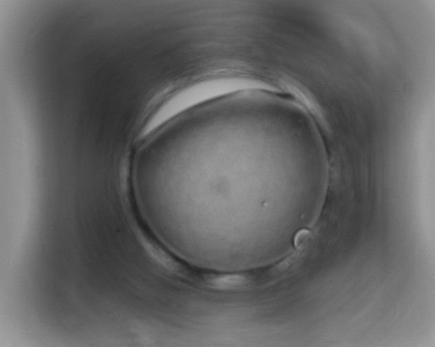 X0000114200058200910091301