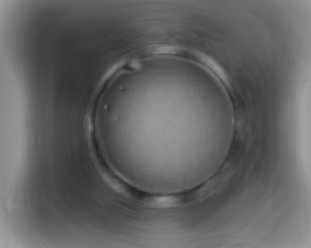 X0000114200059200910091301