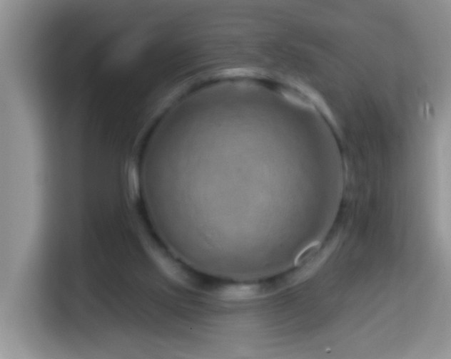 X0000114200061200910091301