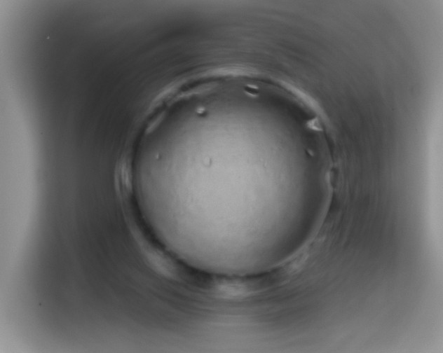 X0000114200062200910091301