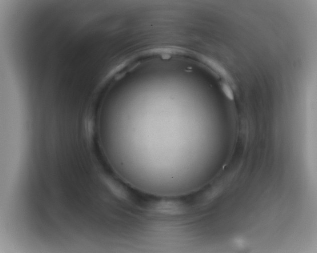 X0000114200063200910091301