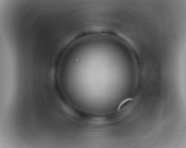 X0000114200066200910091301