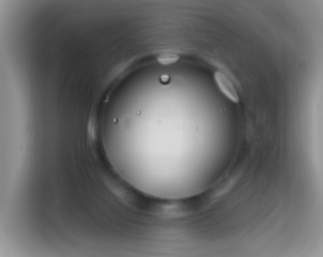 X0000114200068200910091301