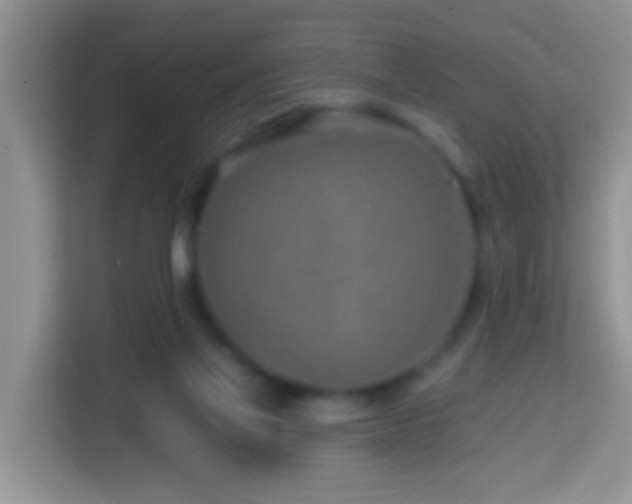 X0000114200069200910091301