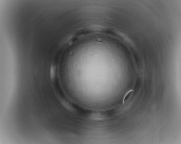 X0000114200070200910091301