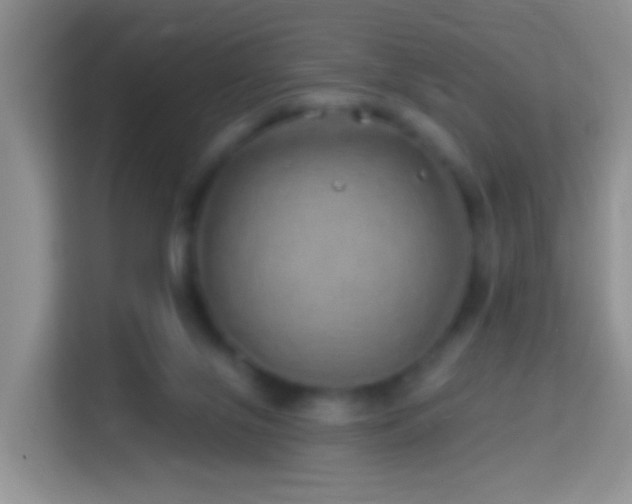 X0000114200071200910091301