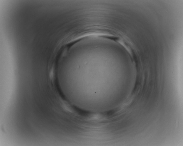 X0000114200074200910091301