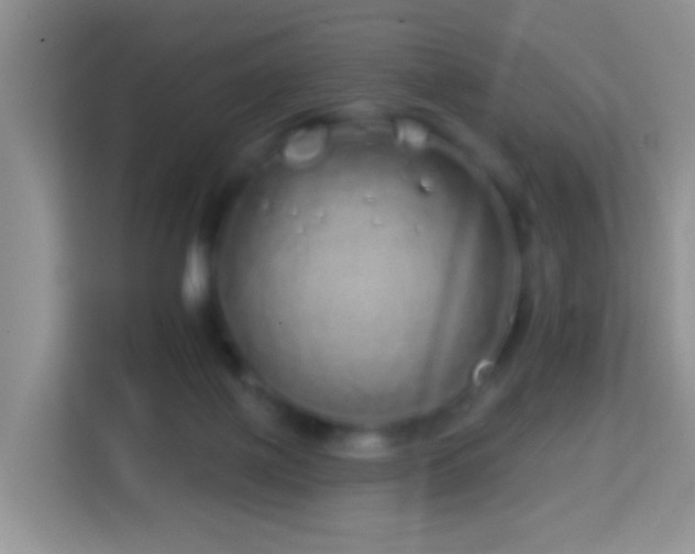 X0000114200075200910091301