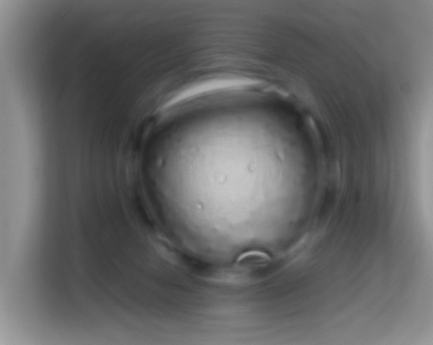 X0000114200078200910091301