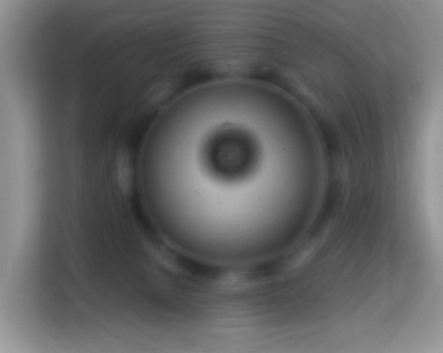 X0000114200080200910091301