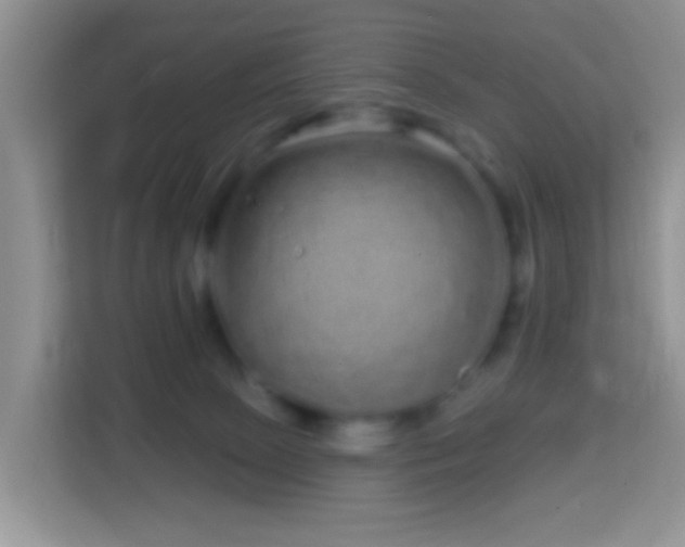 X0000114200081200910091301