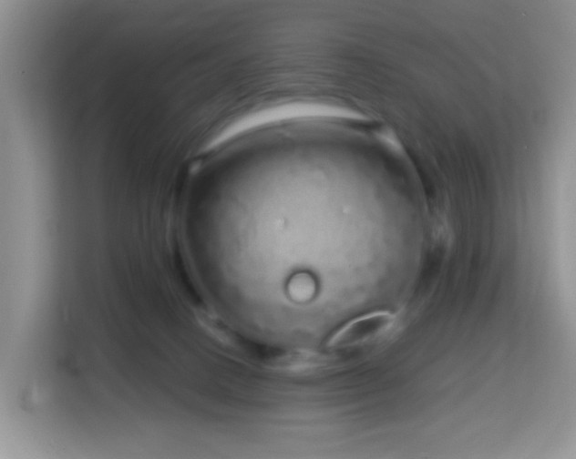 X0000114200082200910091301