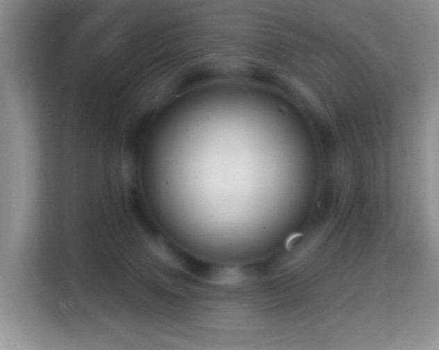 X0000114200083200910091301