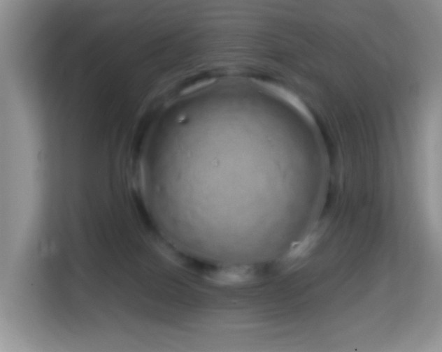 X0000114200086200910091301