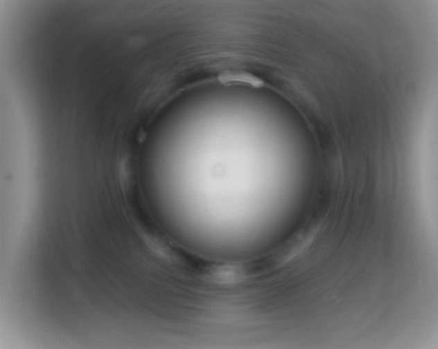 X0000114200088200910091301