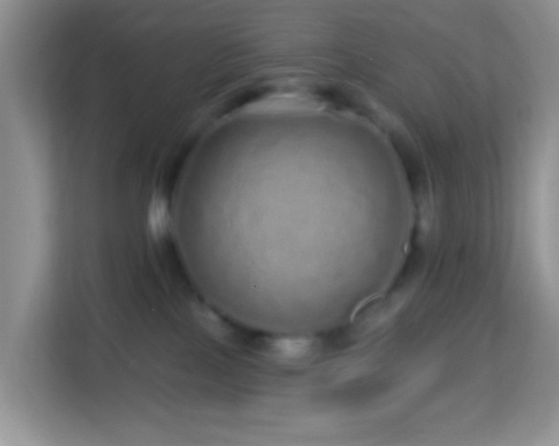 X0000114200089200910091301