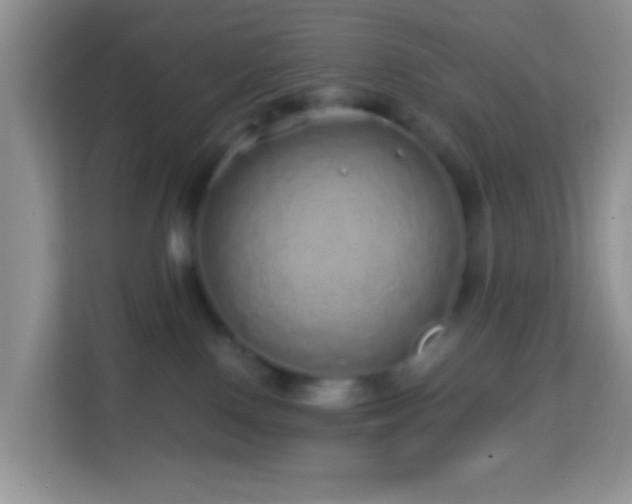 X0000114200090200910091301